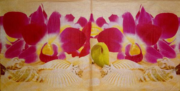 037 Orchids - 3-ply - Paw
